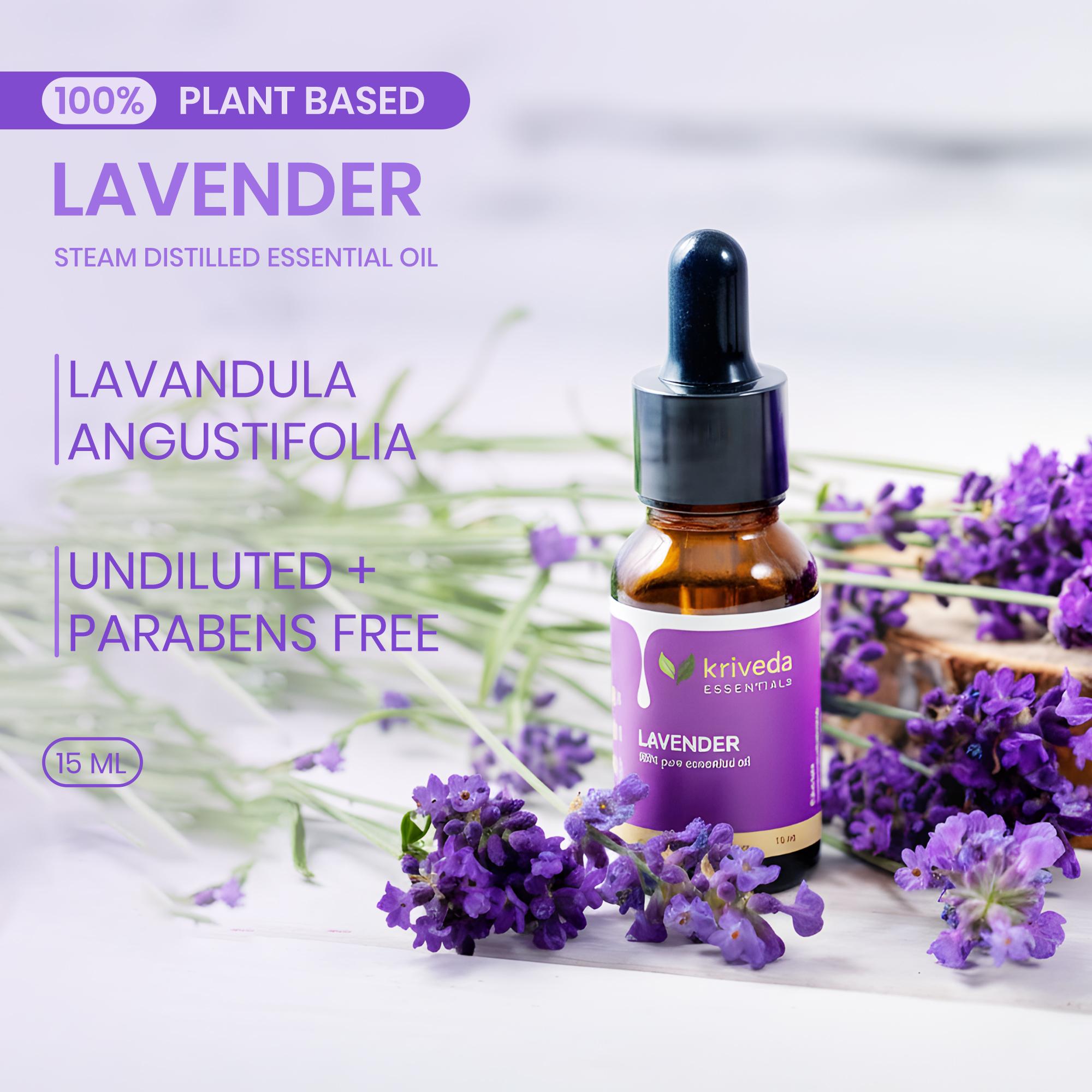 Lavender thumbnail 3