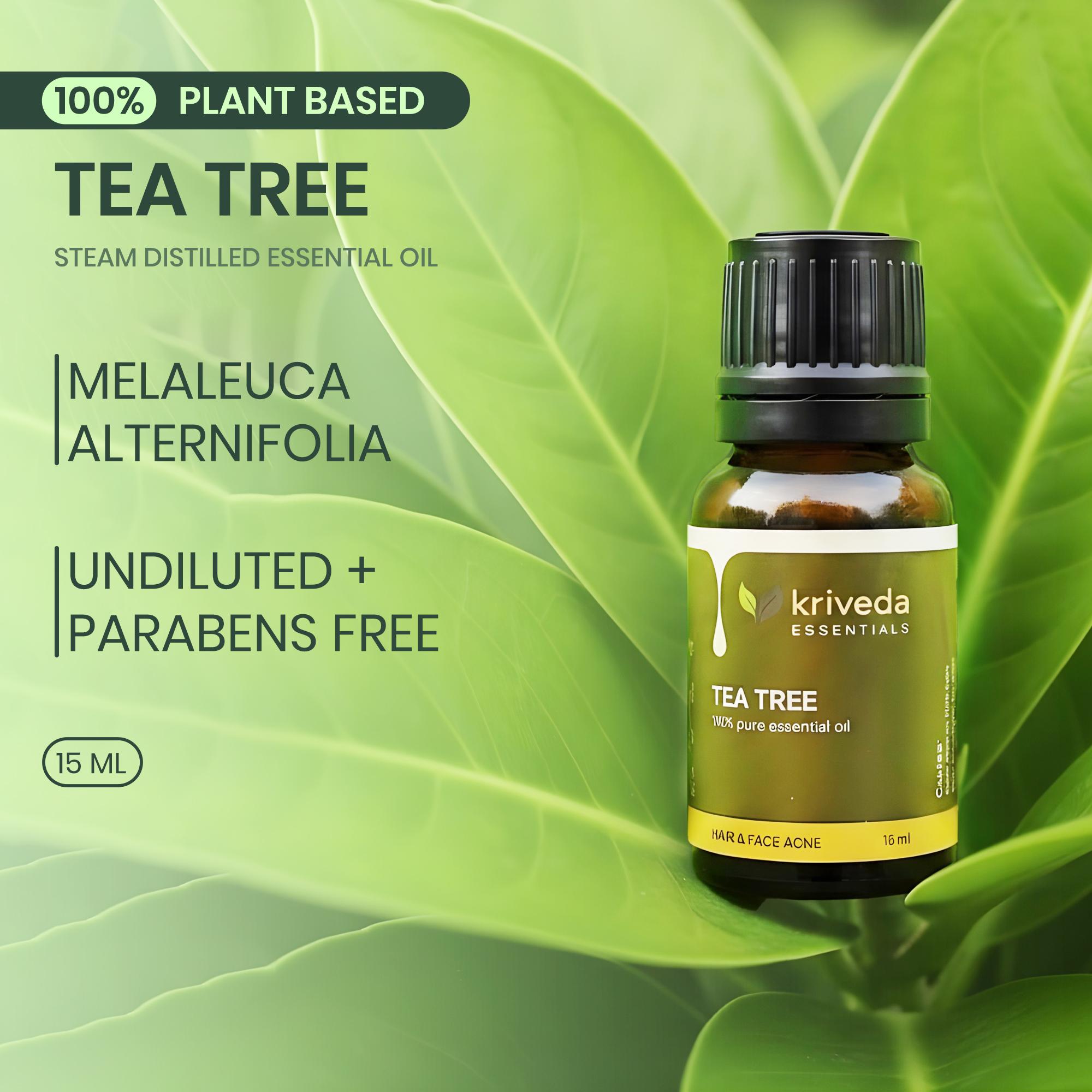 Tea Tree thumbnail 5